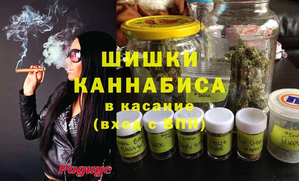 ПСИЛОЦИБИНОВЫЕ ГРИБЫ Краснослободск