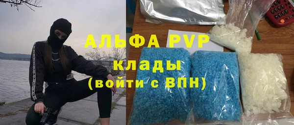 ПСИЛОЦИБИНОВЫЕ ГРИБЫ Краснослободск