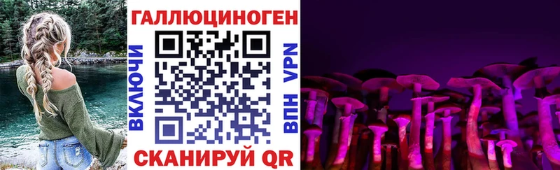 Псилоцибиновые грибы Psilocybe  Купить где  Верхоянск 
